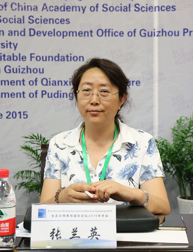 大学中国乡村建设研究院执行院长,北京梁漱溟乡村建设中心主任张兰英