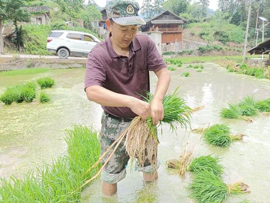乡村振兴·民大行动｜驻村第一书记李绍华：深学笃行书写忠孝并举的家国情