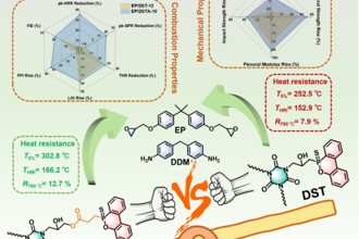 我校化学工程学院新型阻燃材料研究团队在国际知名期刊《Chemical Engineering Journal》上发表论文