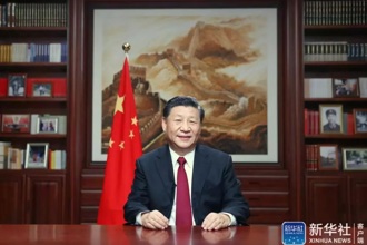 习近平新年贺词：万众一心加油干，越是艰险越向前！