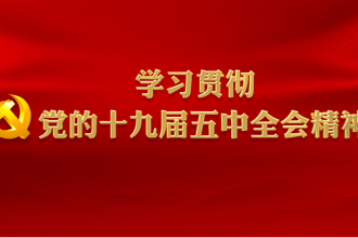 学习贯彻党的十九届五中全会精神