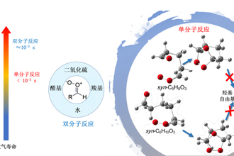 国际知名期刊《自然-通讯》（Nature Communications）刊发我校青年教师龙波及其合作者研究成果