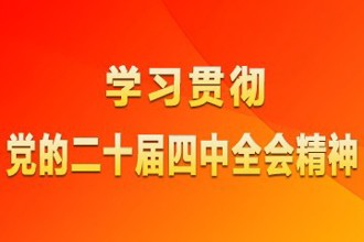 学习贯彻党的二十届四中全会精神