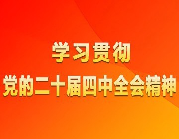 学习贯彻党的二十届四中全会精神