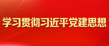 学习贯彻习近平党建思想