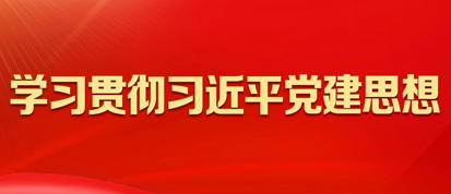 学习贯彻习近平党建思想